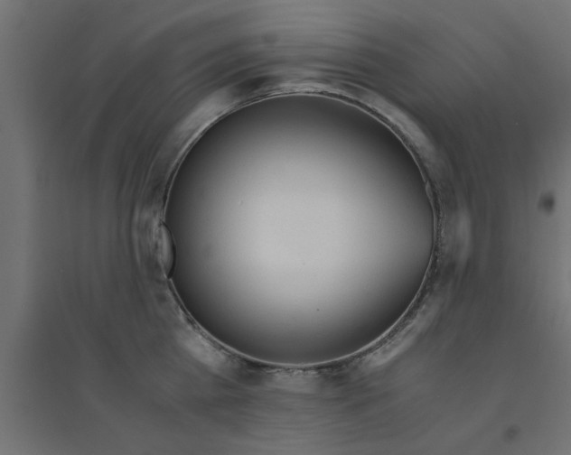 X0000094320809200711241806