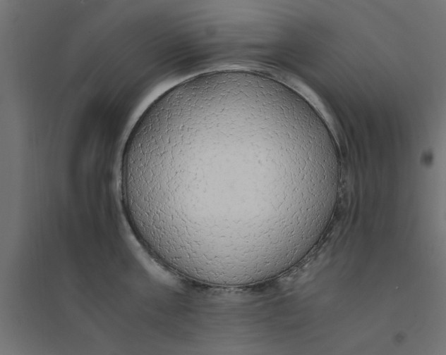 X0000094320811200711241806