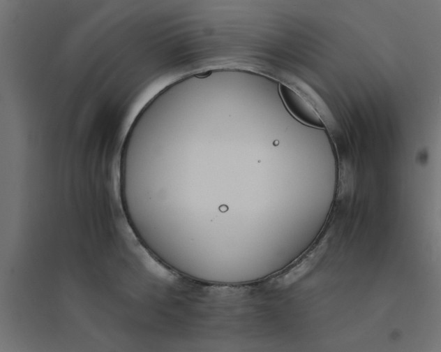 X0000094320812200711241806