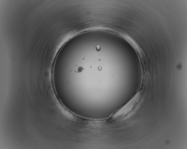 X0000094320813200711241806