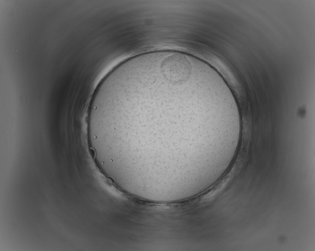 X0000094320814200711241806