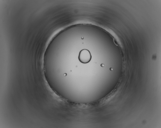 X0000094320815200711241806