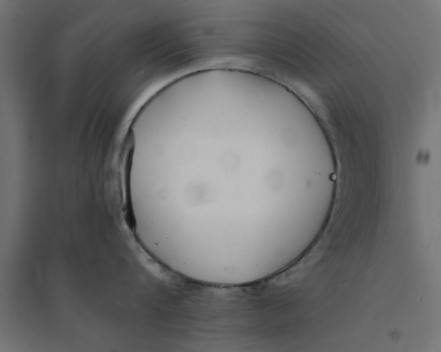 X0000094320816200711241806