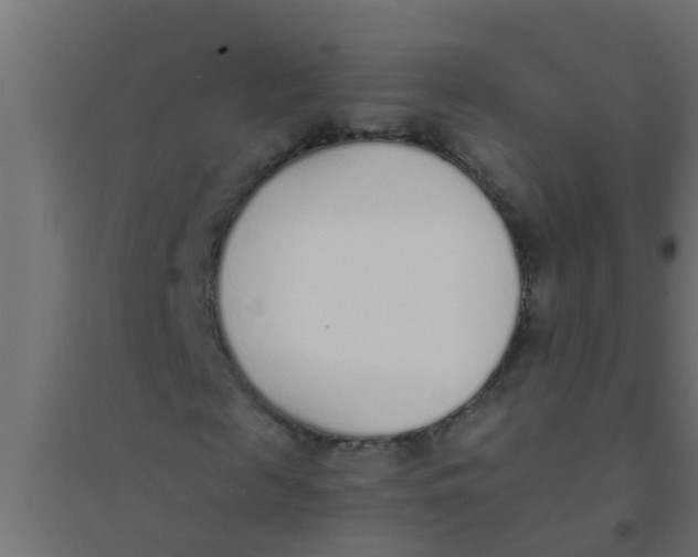 X0000094320817200711241805