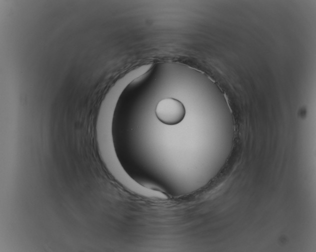 X0000094320818200711241805