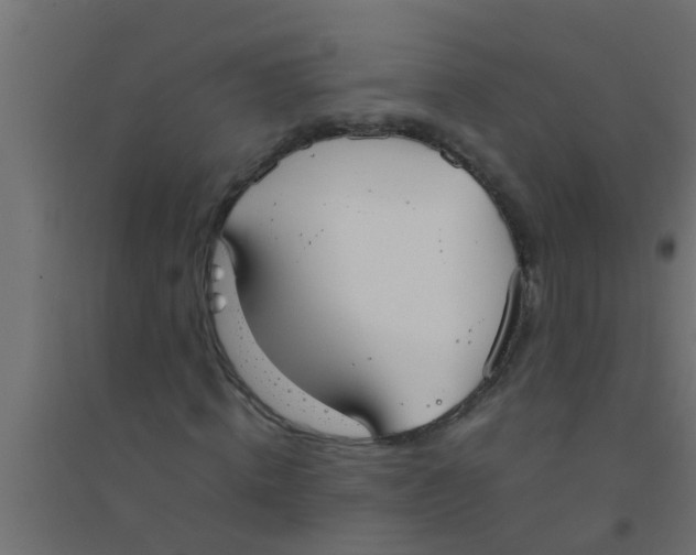 X0000094320820200711241805