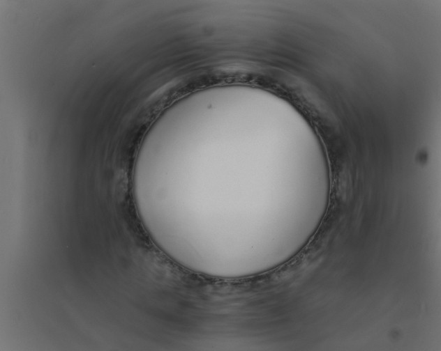 X0000094320821200711241805