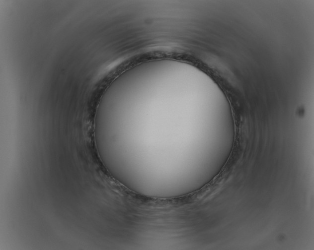 X0000094320822200711241805