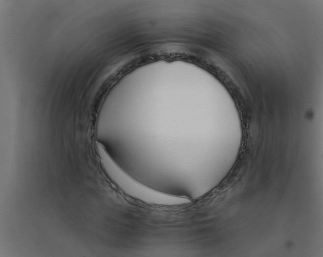 X0000094320823200711241805