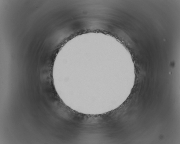 X0000094320824200711241805