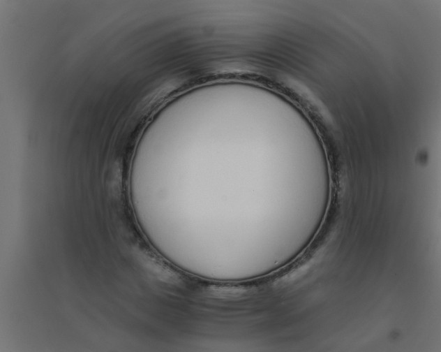 X0000094320825200711241805