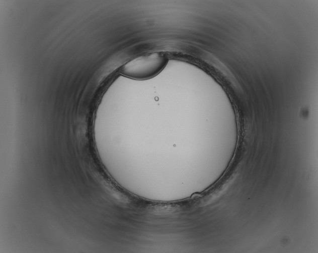 X0000094320826200711241805