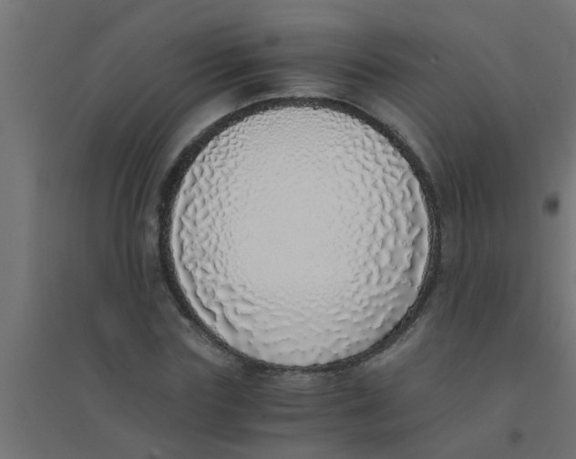 X0000094320827200711241805