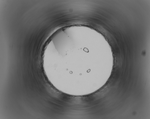 X0000094320828200711241805
