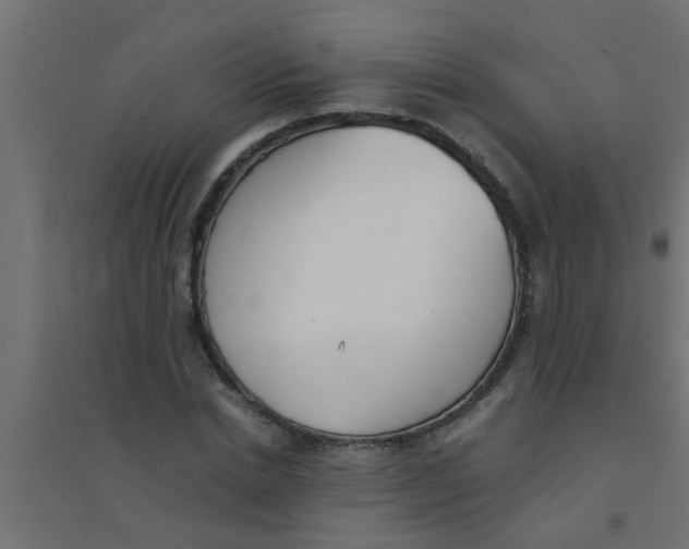 X0000094320830200711241805