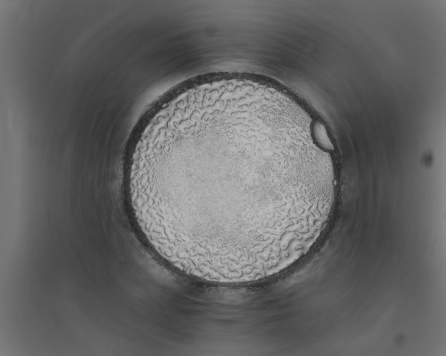 X0000094320831200711241805