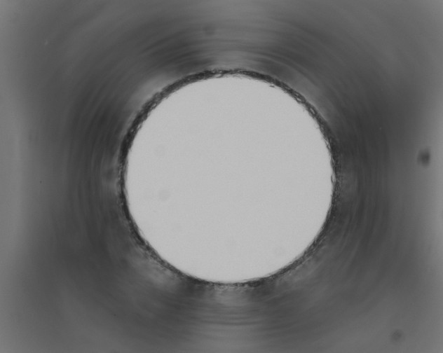 X0000094320832200711241805