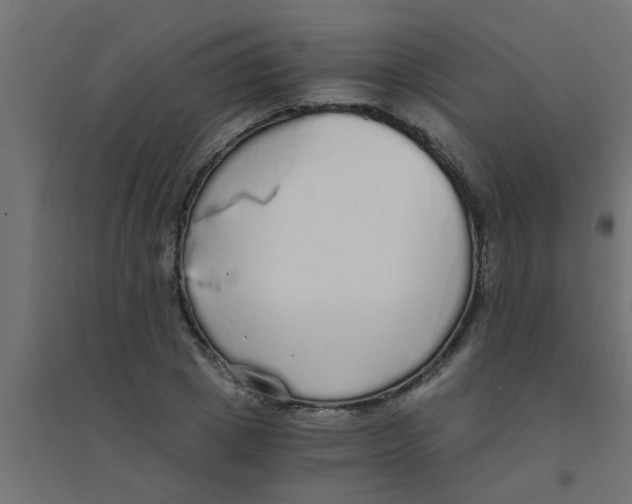 X0000094320833200711241805