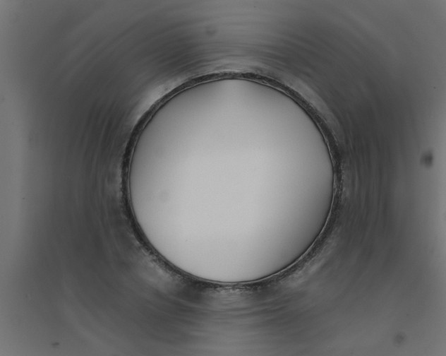 X0000094320834200711241805