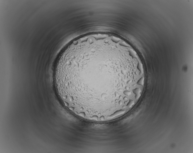 X0000094320835200711241805