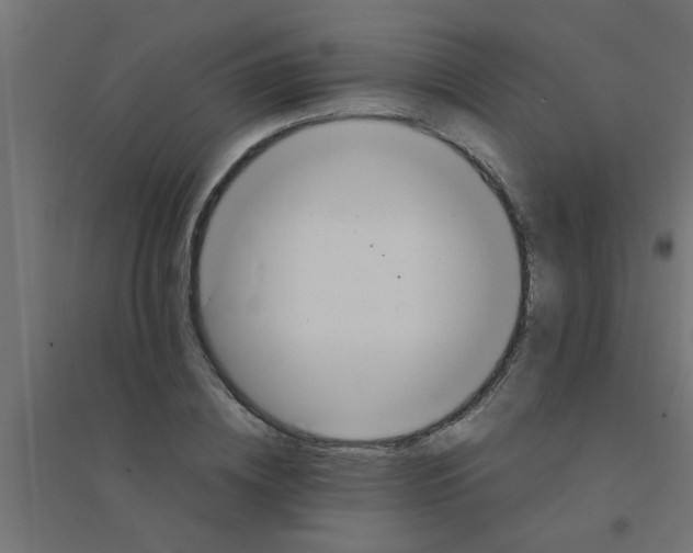 X0000094320836200711241805