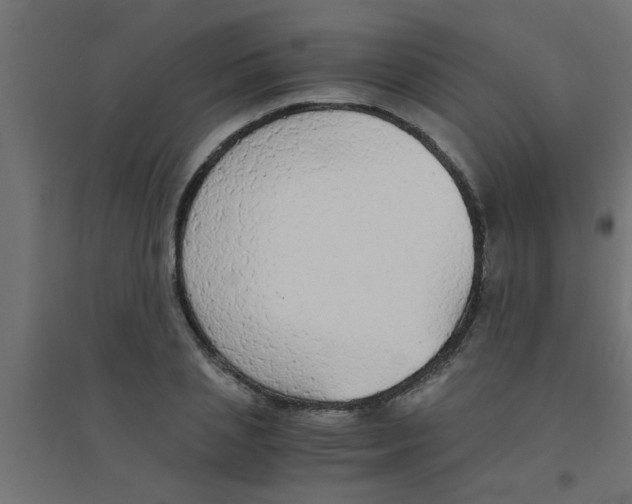 X0000094320837200711241805