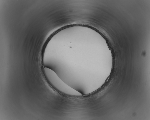 X0000094320838200711241805
