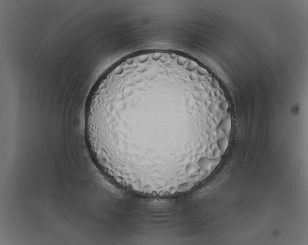 X0000094320839200711241805