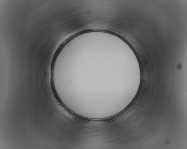 X0000094320840200711241805