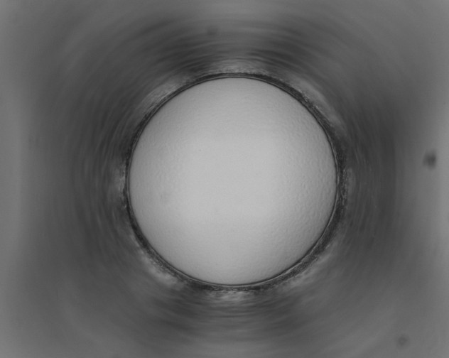 X0000094320841200711241805