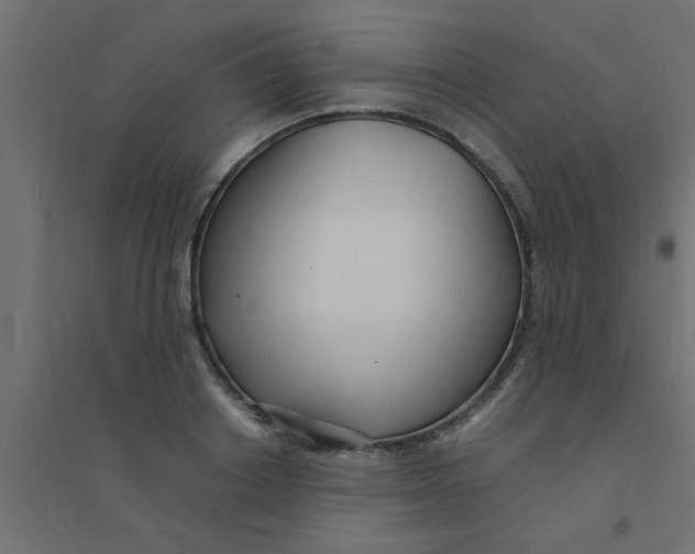 X0000094320842200711241805