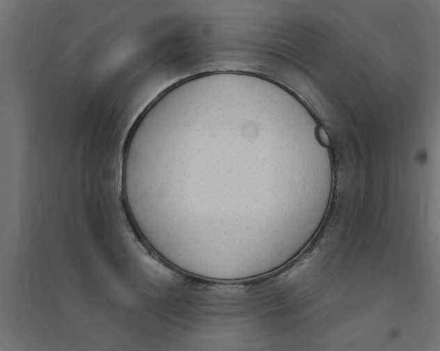 X0000094320844200711241805