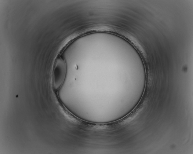 X0000094320845200711241805