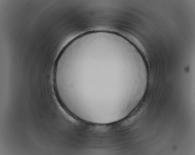 X0000094320847200711241805