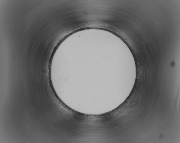 X0000094320848200711241805