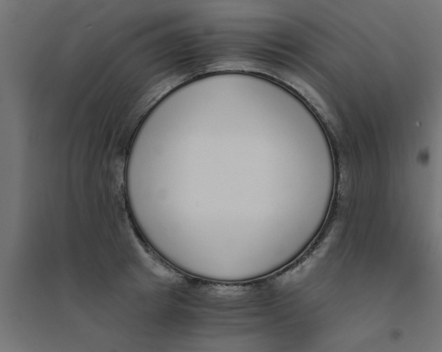 X0000094320849200711241805
