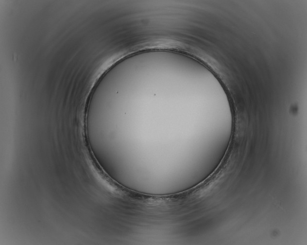 X0000094320850200711241805