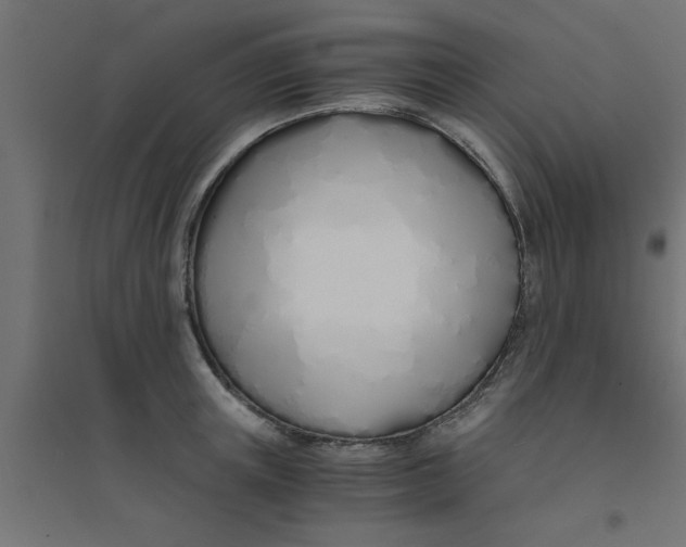 X0000094320851200711241805