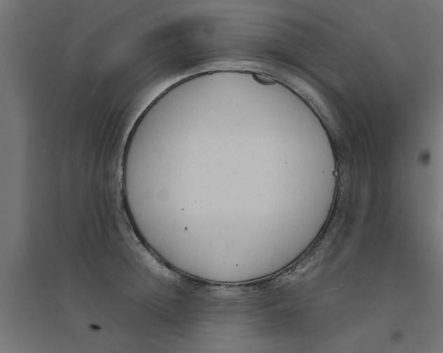 X0000094320852200711241805