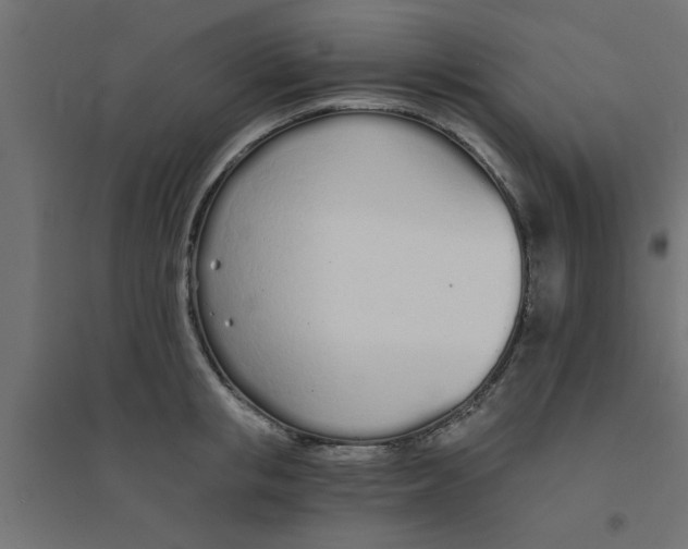 X0000094320853200711241805