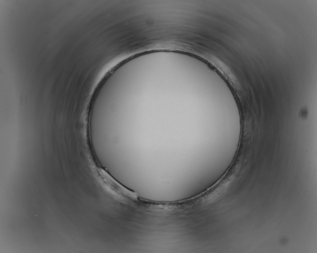 X0000094320854200711241805