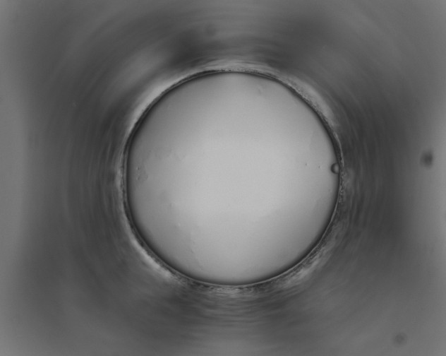 X0000094320855200711241805