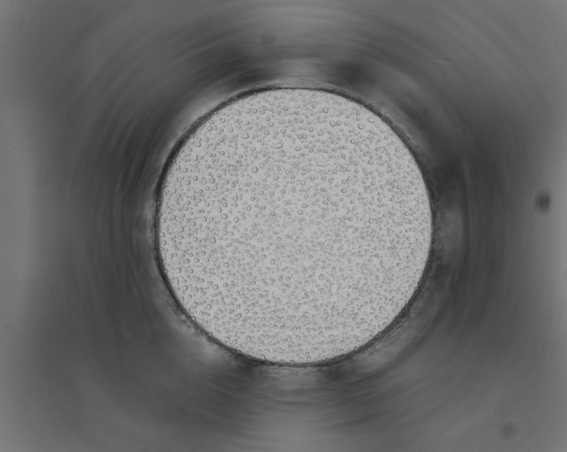 X0000094320856200711241805