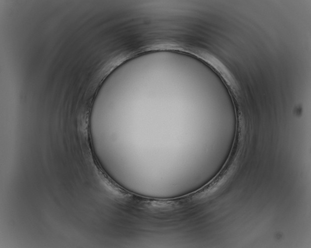 X0000094320857200711241805