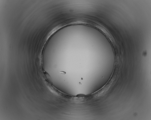 X0000094320858200711241805