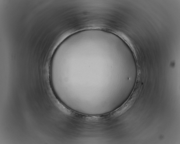 X0000094320859200711241805