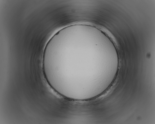 X0000094320860200711241805