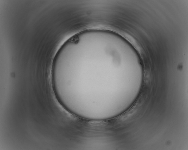 X0000094320863200711241806