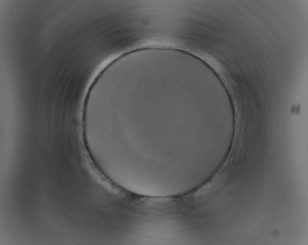 X0000094320864200711241806