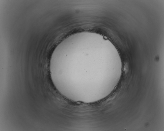 X0000094320867200711241805